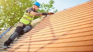 Best Roof Moss and Algae Removal  in Catonsville, MD